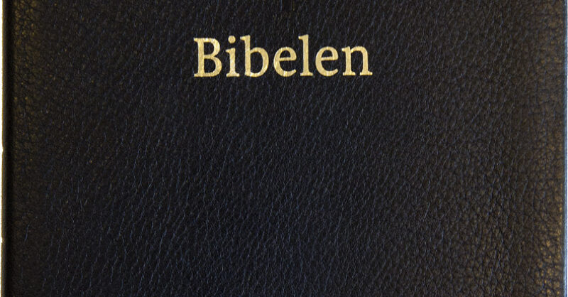Bibel 2011 - brudeparbibel, bokmål