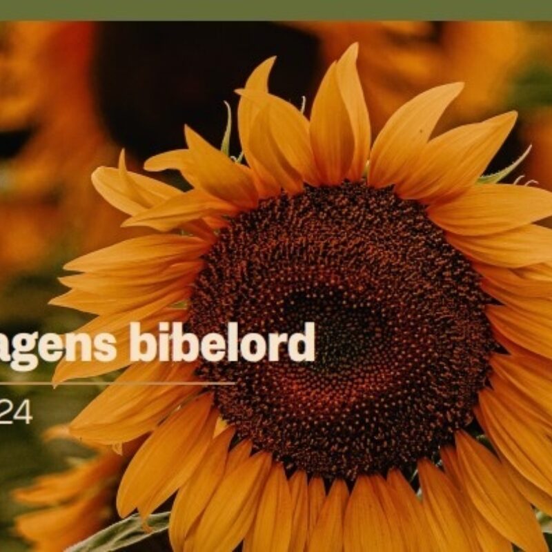Bibel 2011, lita utgåve i grønt kunstskinn NN